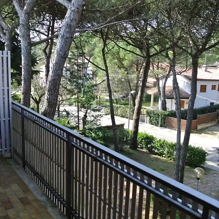 Apartment Apartment- Sylvia